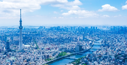 スカイツリーと街並み